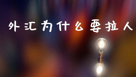 外汇为什么要拉人_https://m.lcjysmgs.com_金融服务_第1张