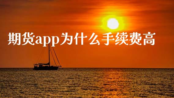 期货app为什么手续费高_https://m.lcjysmgs.com_股权投资_第1张