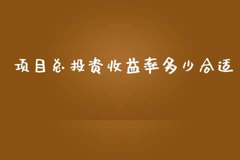 项目总投资收益率多少合适_https://m.lcjysmgs.com_股票交易_第1张