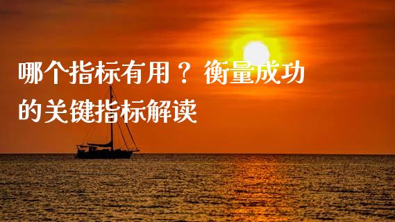 哪个指标有用？ 衡量成功的关键指标解读_https://m.lcjysmgs.com_金融服务_第1张