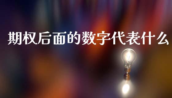 期权后面的数字代表什么_https://m.lcjysmgs.com_基金管理_第1张