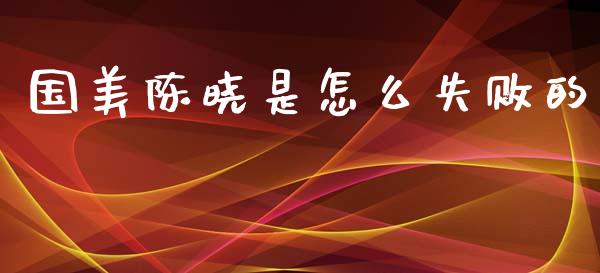国美陈晓是怎么失败的_https://m.lcjysmgs.com_股权投资_第1张
