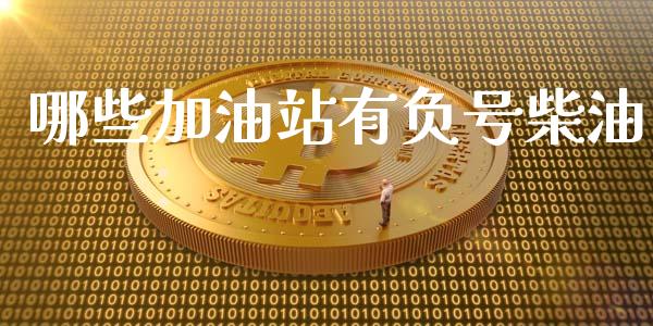 哪些加油站有负号柴油_https://m.lcjysmgs.com_股票交易_第1张