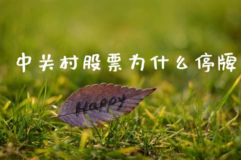 中关村股票为什么停牌_https://m.lcjysmgs.com_股权投资_第1张