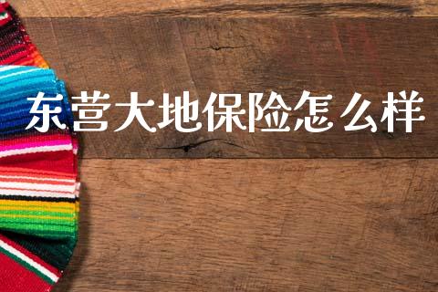 东营大地保险怎么样_https://m.lcjysmgs.com_股票交易_第1张