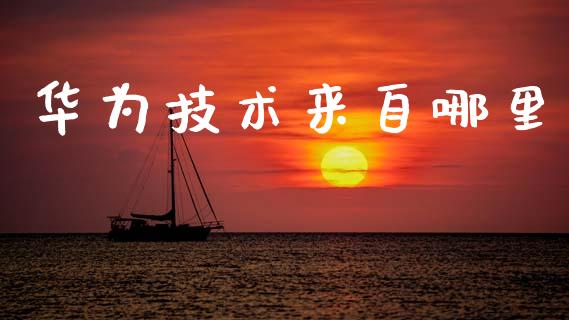 华为技术来自哪里_https://m.lcjysmgs.com_金融服务_第1张