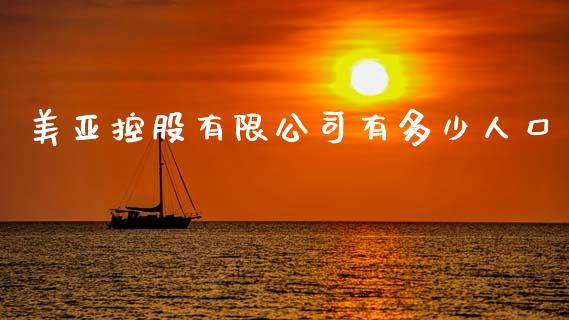 美亚控股有限公司有多少人口_https://m.lcjysmgs.com_金融服务_第1张