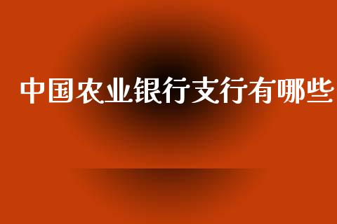 中国农业银行支行有哪些_https://m.lcjysmgs.com_股票交易_第1张
