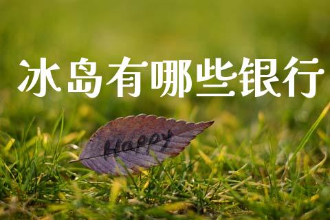 冰岛有哪些银行_https://m.lcjysmgs.com_股票交易_第1张