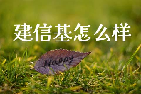 建信基怎么样_https://m.lcjysmgs.com_股权投资_第1张