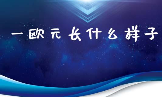 一欧元长什么样子_https://m.lcjysmgs.com_股票交易_第1张