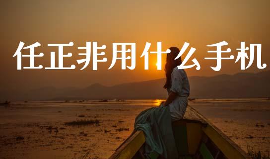 任正非用什么手机_https://m.lcjysmgs.com_股票交易_第1张