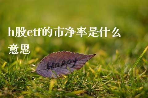 h股etf的市净率是什么意思_https://m.lcjysmgs.com_基金管理_第1张
