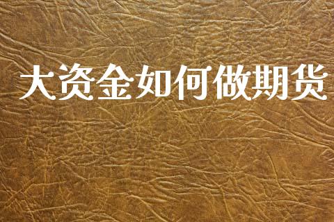 大资金如何做期货_https://m.lcjysmgs.com_基金管理_第1张