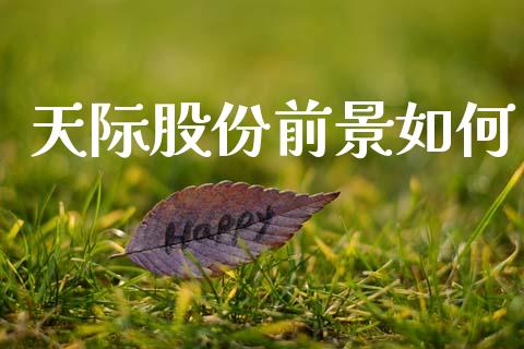 天际股份前景如何_https://m.lcjysmgs.com_股权投资_第1张