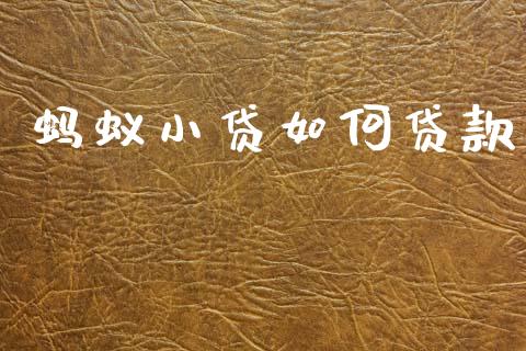 蚂蚁小贷如何贷款_https://m.lcjysmgs.com_股权投资_第1张
