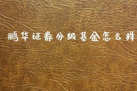 鹏华证券分级基金怎么样_https://m.lcjysmgs.com_股票交易_第1张