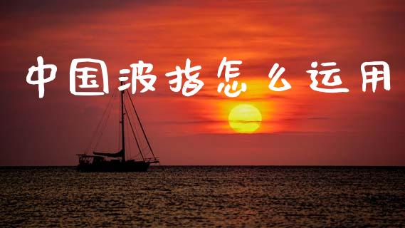 中国波指怎么运用_https://m.lcjysmgs.com_基金管理_第1张