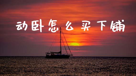 动卧怎么买下铺_https://m.lcjysmgs.com_基金管理_第1张