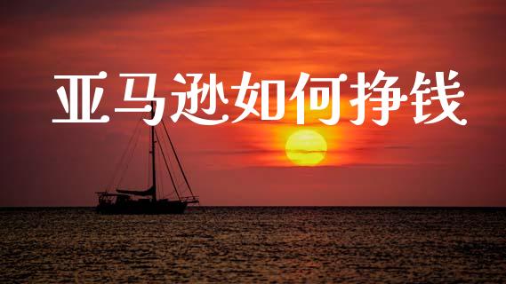 亚马逊如何挣钱_https://m.lcjysmgs.com_股权投资_第1张