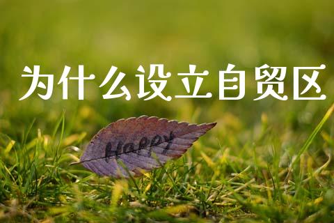 为什么设立自贸区_https://m.lcjysmgs.com_股票交易_第1张