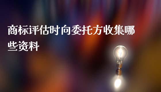 商标评估时向委托方收集哪些资料_https://m.lcjysmgs.com_股权投资_第1张