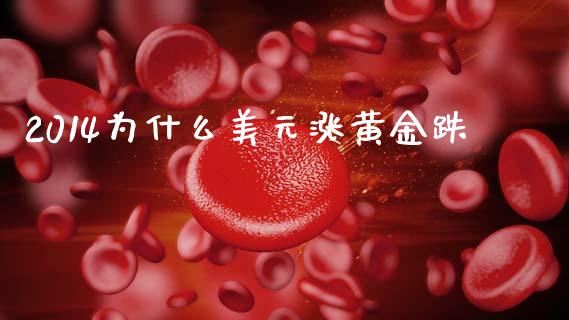 2014为什么美元涨黄金跌_https://m.lcjysmgs.com_股票交易_第1张