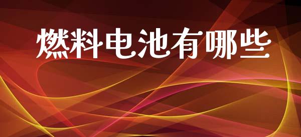 燃料电池有哪些_https://m.lcjysmgs.com_基金管理_第1张