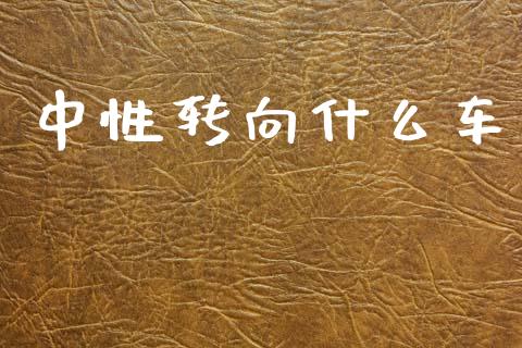 中性转向什么车_https://m.lcjysmgs.com_金融服务_第1张
