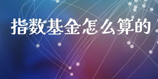 指数基金怎么算的_https://m.lcjysmgs.com_股权投资_第1张