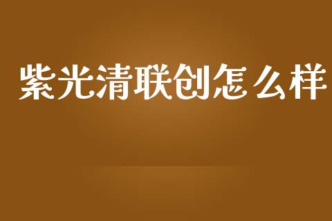 紫光清联创怎么样_https://m.lcjysmgs.com_股票交易_第1张