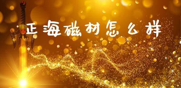 正海磁材怎么样_https://m.lcjysmgs.com_股权投资_第1张