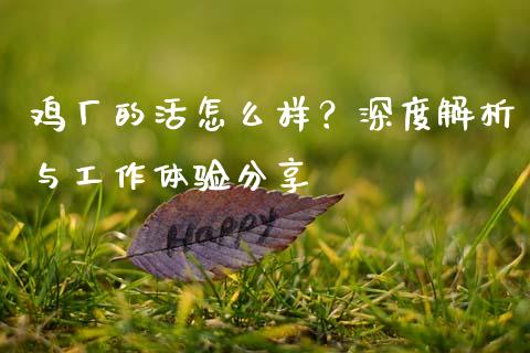 鸡厂的活怎么样?深度解析与工作体验分享_股票交易_第1张_股权投资_基金管理_股票交易_金融服务 鸡厂的活怎么样?深度解析与工作体验分享_https://m.lcjysmgs.com_股票交易_第1张