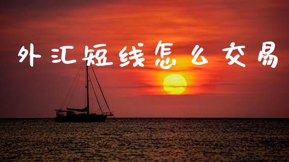 外汇短线怎么交易_https://m.lcjysmgs.com_股票交易_第1张