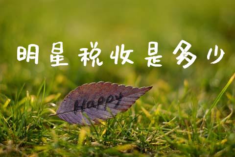 明星税收是多少_https://m.lcjysmgs.com_股票交易_第1张