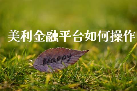 美利金融平台如何操作_https://m.lcjysmgs.com_股票交易_第1张