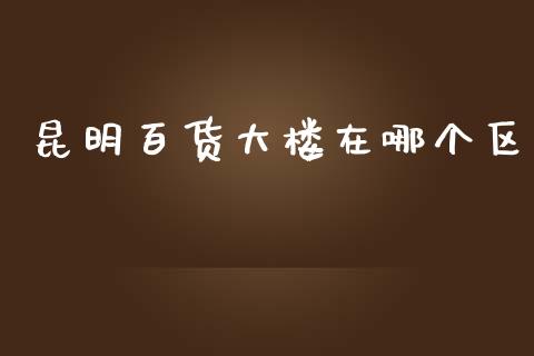 昆明百货大楼在哪个区_https://m.lcjysmgs.com_金融服务_第1张