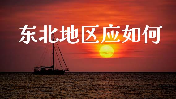 东北地区应如何_https://m.lcjysmgs.com_金融服务_第1张