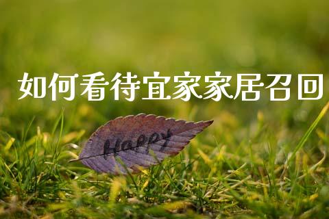 如何看待宜家家居召回_https://m.lcjysmgs.com_股权投资_第1张