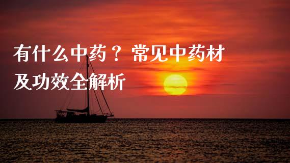 有什么中药? 常见中药材及功效全解析_基金管理_第1张_股权投资_基金管理_股票交易_金融服务 有什么中药? 常见中药材及功效全解析_https://m.lcjysmgs.com_基金管理_第1张