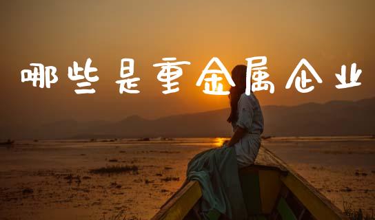 哪些是重金属企业_https://m.lcjysmgs.com_基金管理_第1张