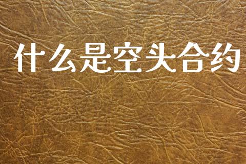 什么是空头合约_https://m.lcjysmgs.com_金融服务_第1张