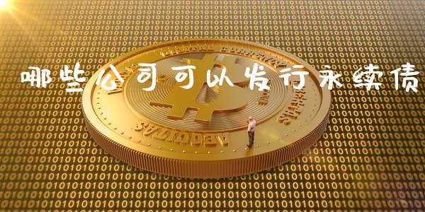 哪些公司可以发行永续债_https://m.lcjysmgs.com_金融服务_第1张