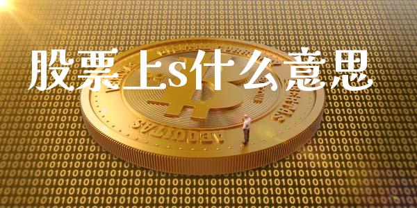 股票上s什么意思_https://m.lcjysmgs.com_股票交易_第1张