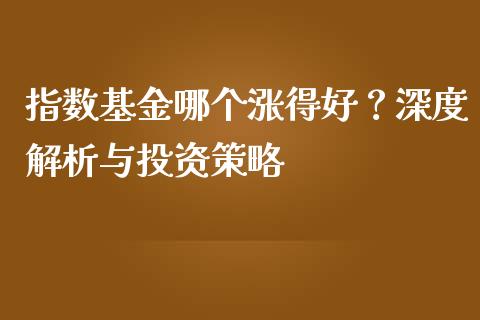 指数基金哪个涨得好？深度解析与投资策略_https://m.lcjysmgs.com_基金管理_第1张