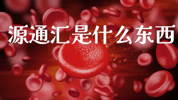 源通汇是什么东西_https://m.lcjysmgs.com_股票交易_第1张