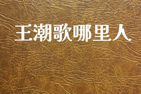 王潮歌哪里人_https://m.lcjysmgs.com_股权投资_第1张