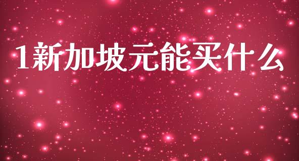 1新加坡元能买什么_https://m.lcjysmgs.com_股权投资_第1张