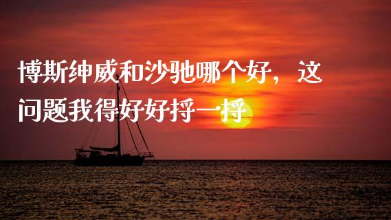 博斯绅威和沙驰哪个好，这问题我得好好捋一捋_https://m.lcjysmgs.com_基金管理_第1张