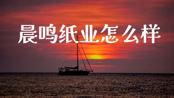 晨鸣纸业怎么样_https://m.lcjysmgs.com_金融服务_第1张